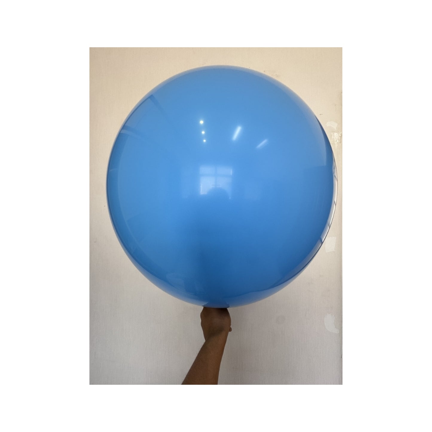 36" Latex Balloon 2Pcs Light Blue 120Pk/Cs