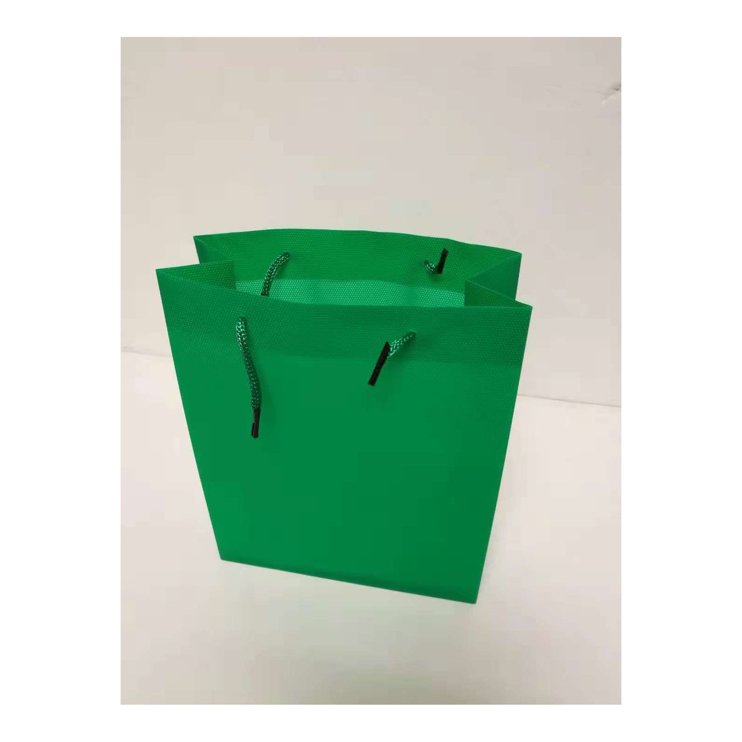 (c) Paper Gift Bag Medium Emerald