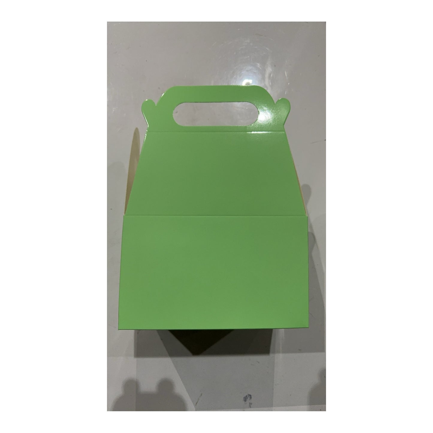 Treat Boxes Aqua Green