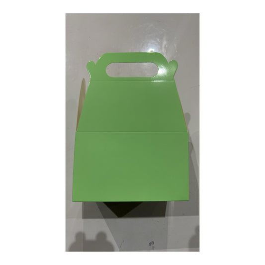 Treat Boxes Aqua Green