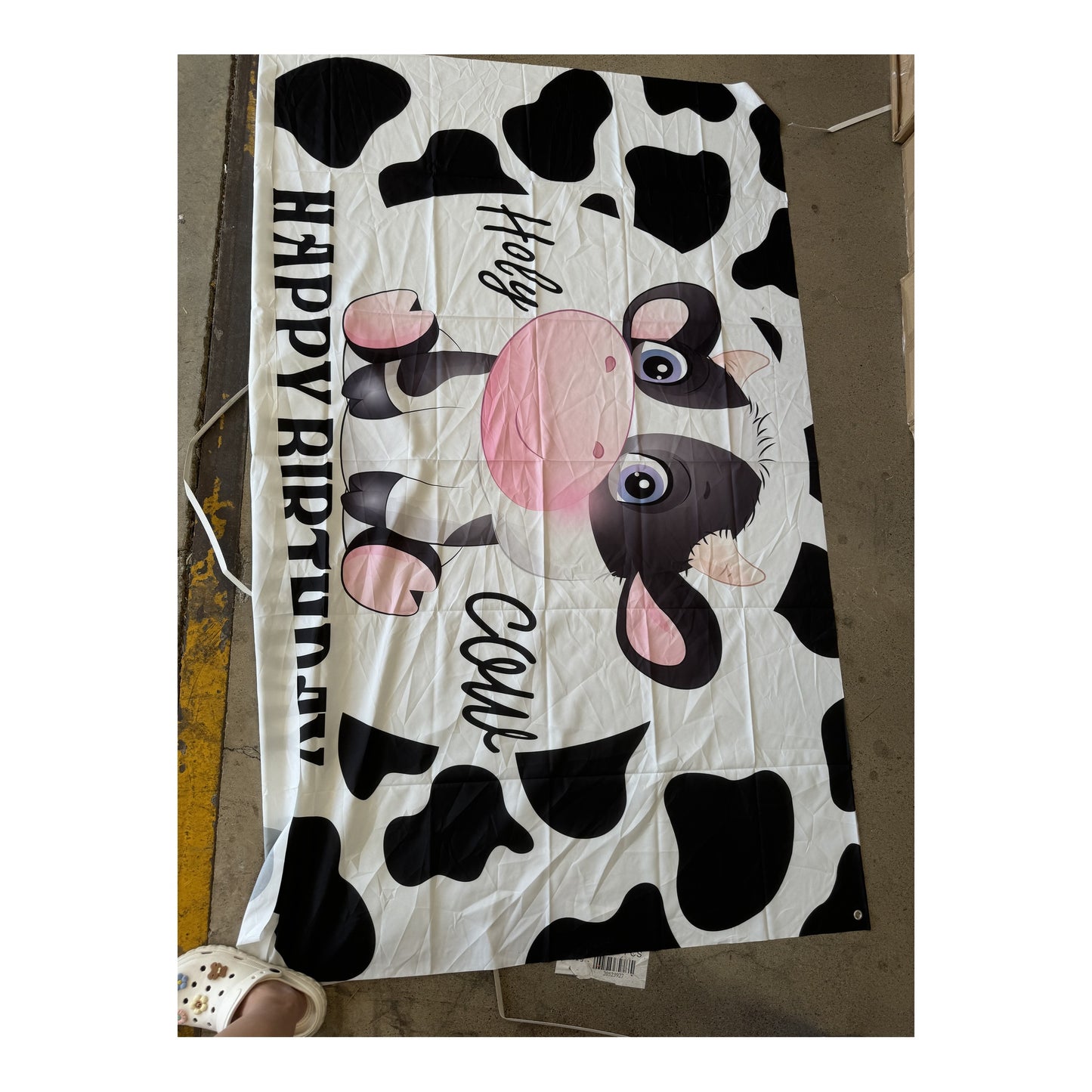 4" x 6" Backdrop Cow