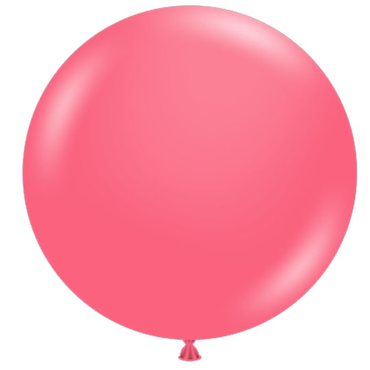 17" Tuftex Taffy 50ct