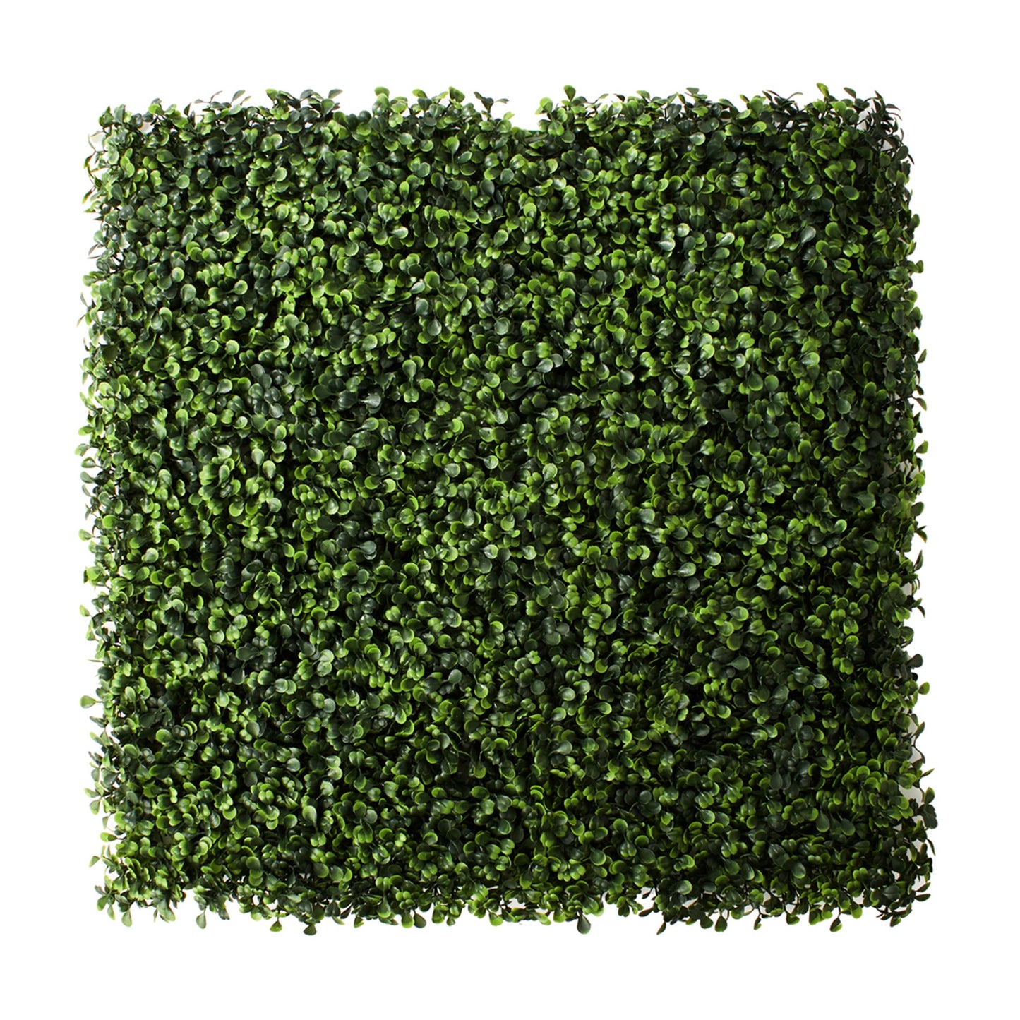 Artificial Boxweed Mat