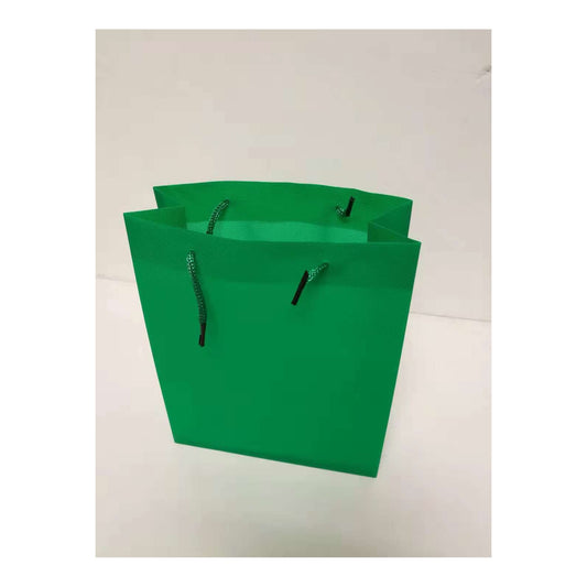 (c) Paper Gift Bag Medium Emerald