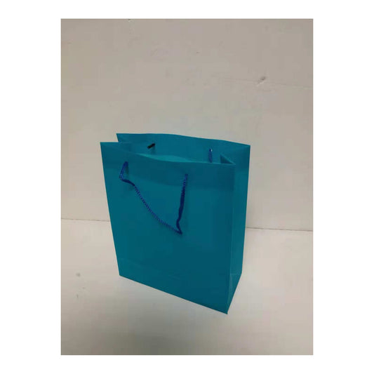 (c) Paper Gift Bag Medium Turquoise