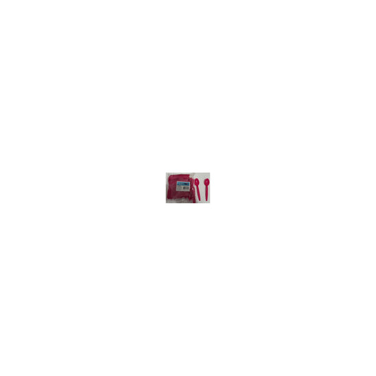 100 ct Plt Spoons Fuchsia 24Pk/Cs