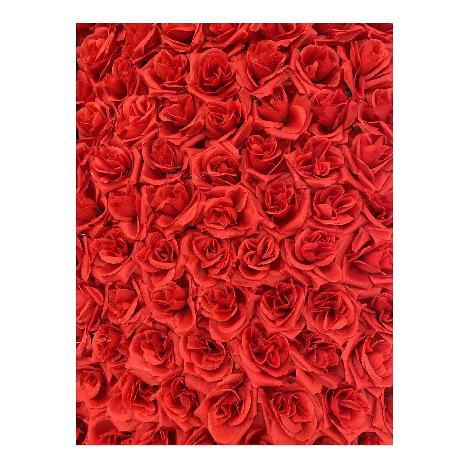 (c) Rose Flower Wall Red Grid