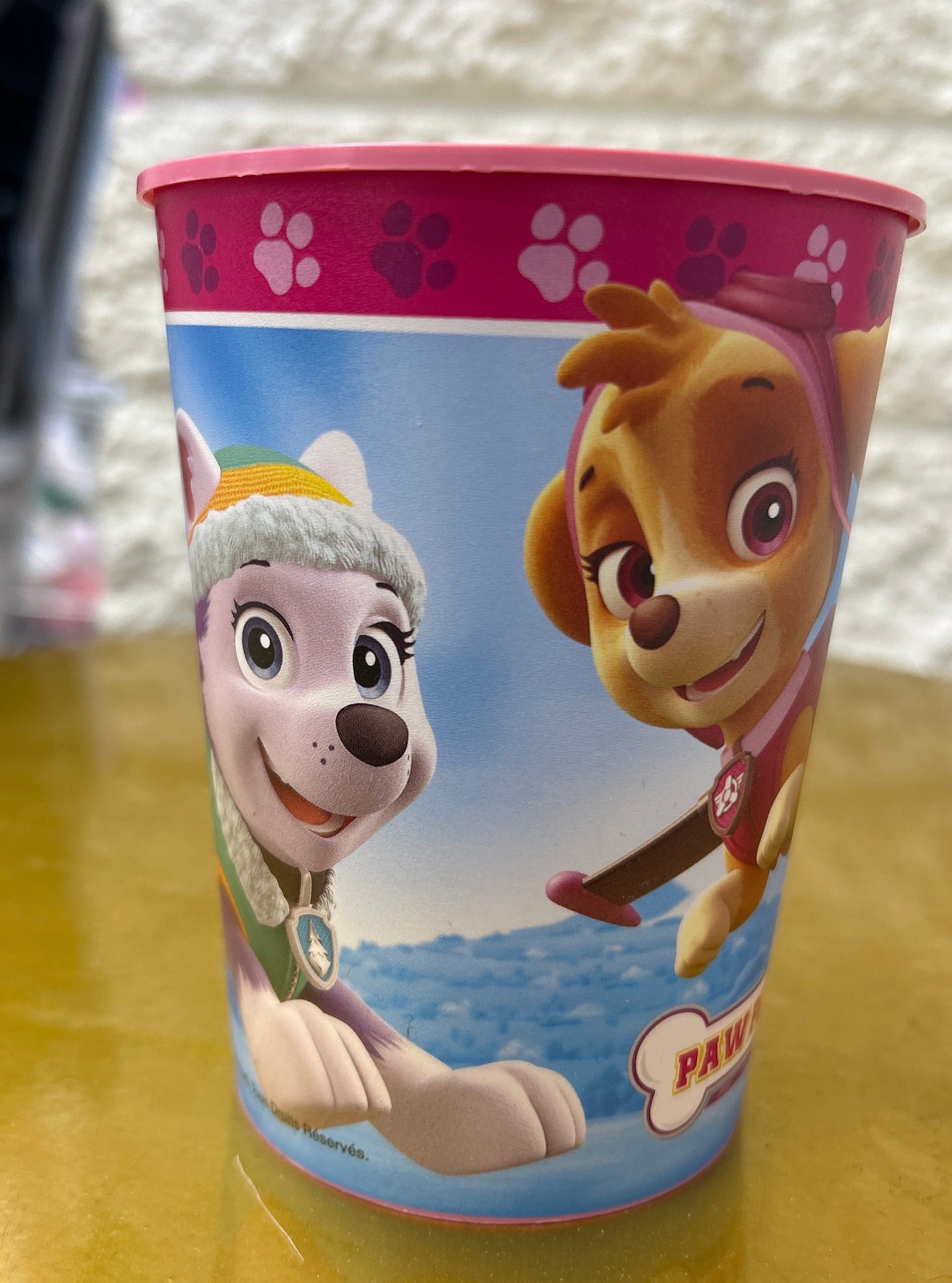 Vaso de plástico La Patrulla Canina Sky de 473 ml 1 unidad