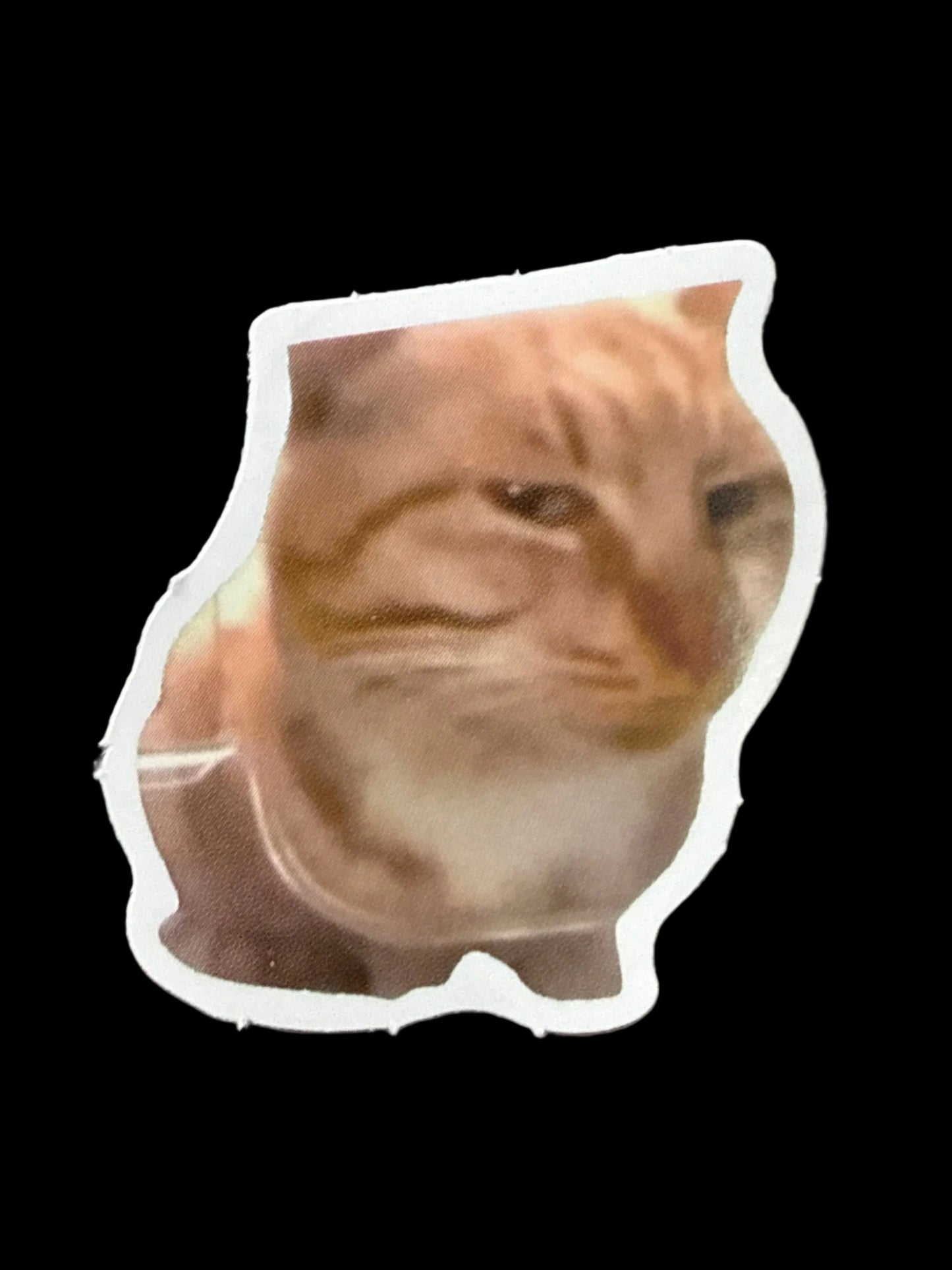 Meme Cat Sticker