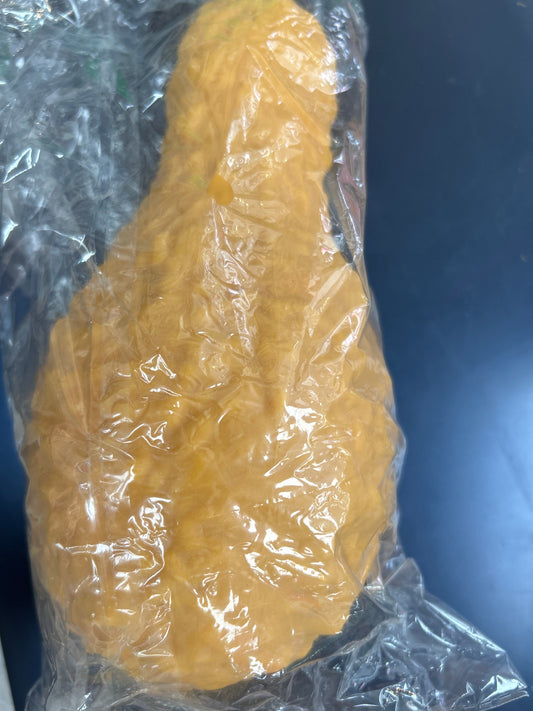 Squeshy Chicken Wing