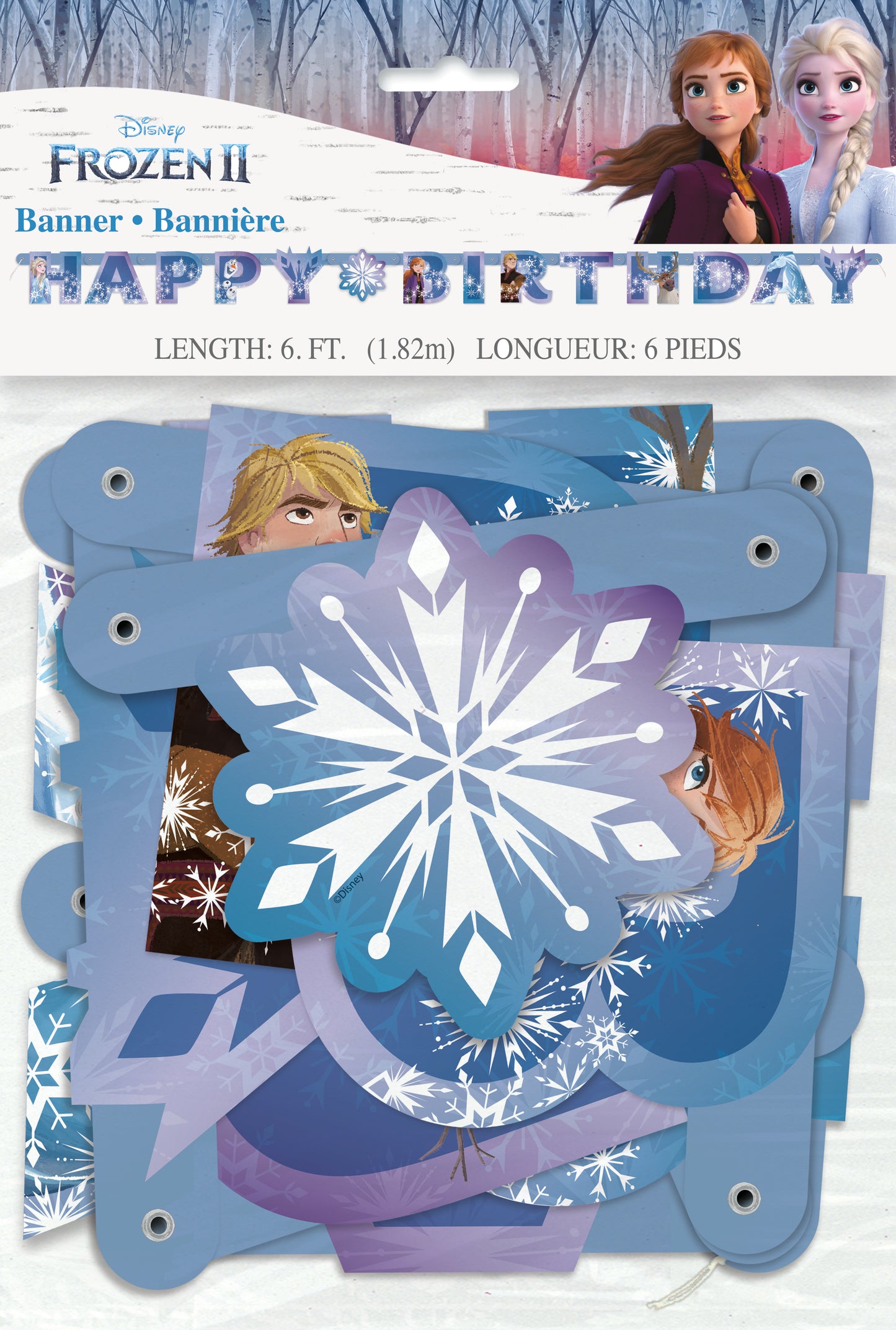 Frozen Banner