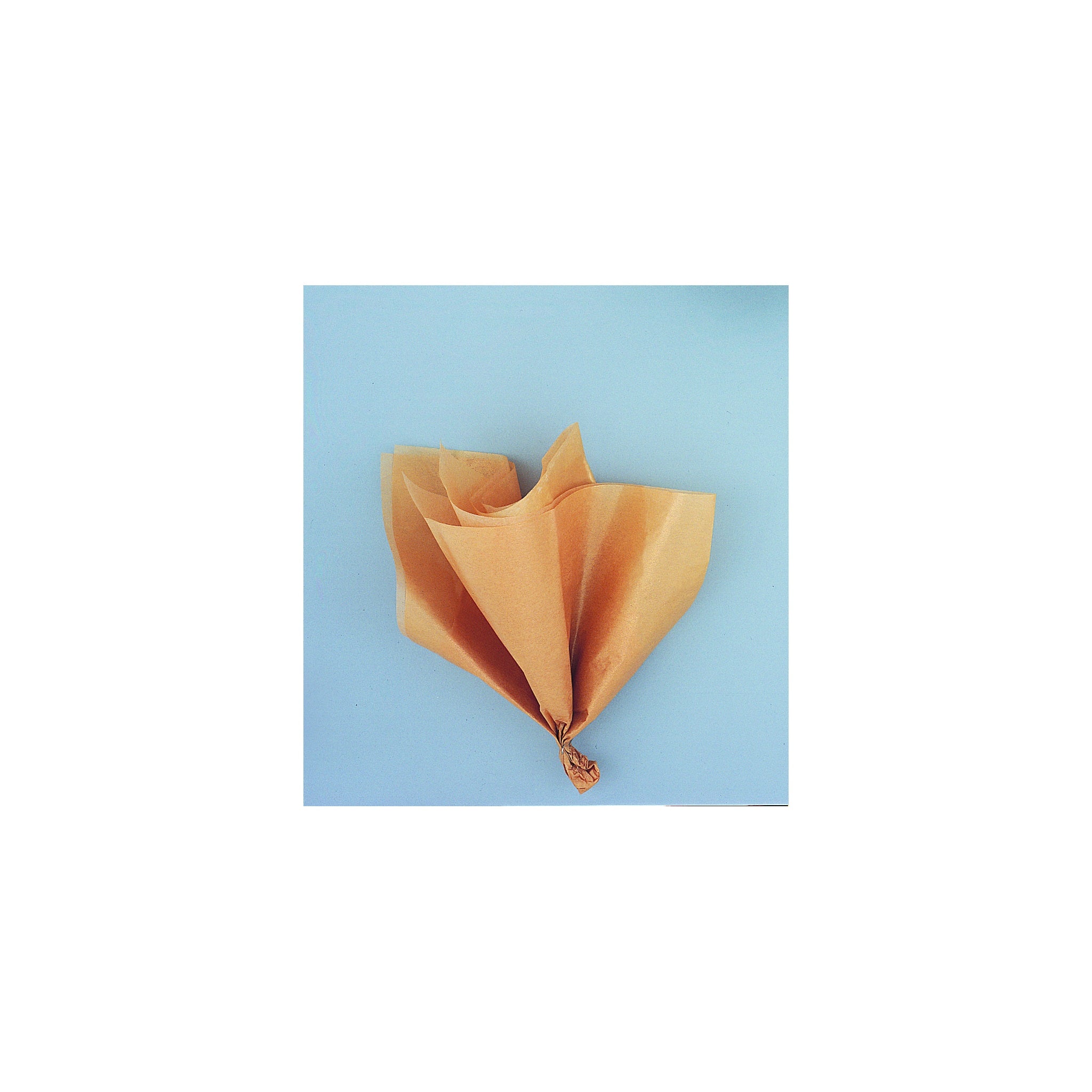 Assorted Gold Tissue Sheet 5ct