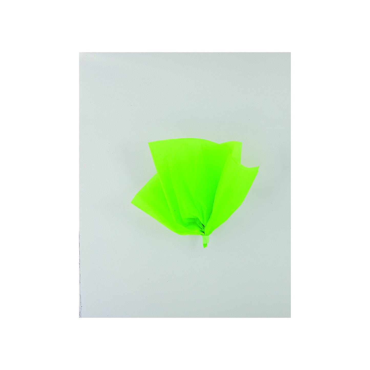 Assorted Lime Green Tissue Sheet