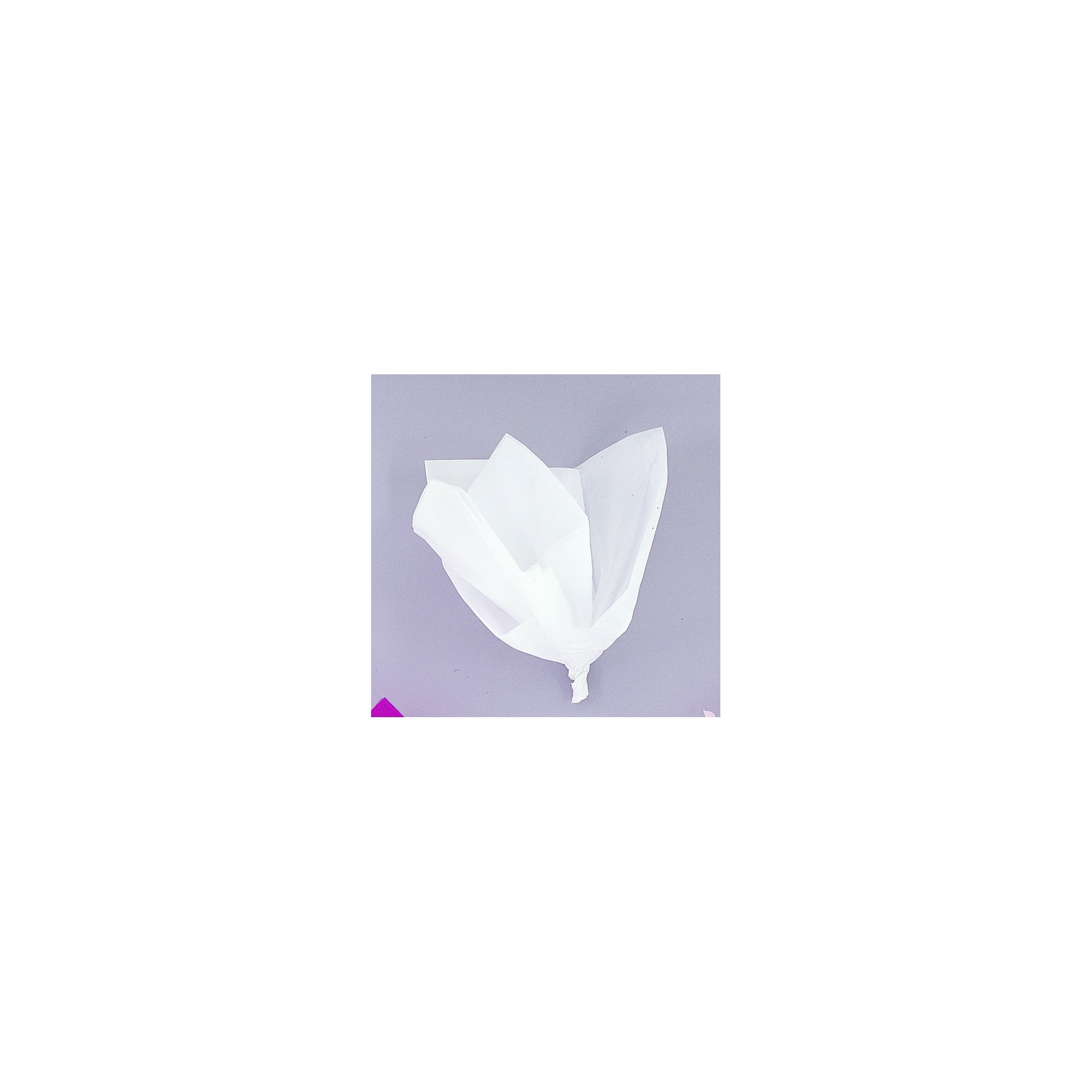 Assorted Tissue Sheet White 10ct