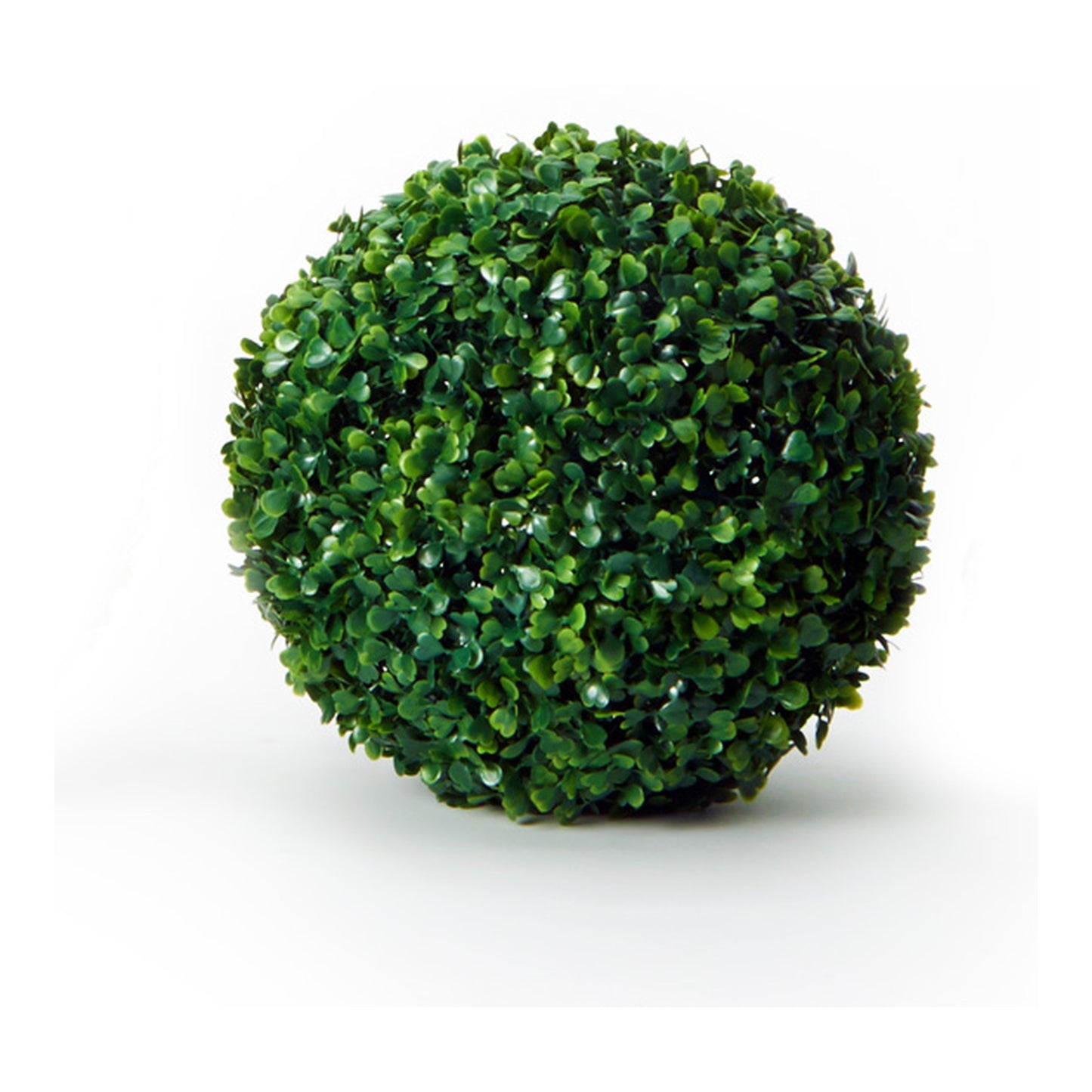 Plant Topiary Boxwood Ball