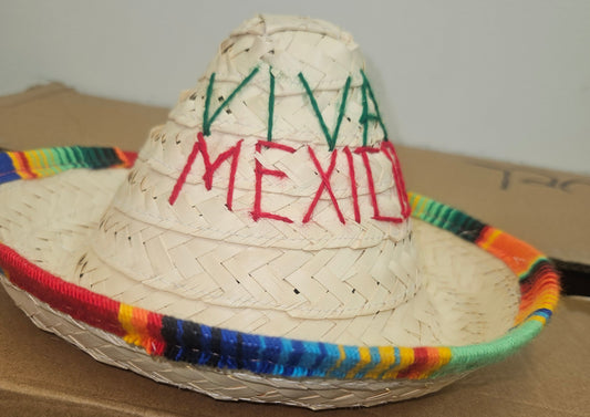 Sombrero Palma Chico